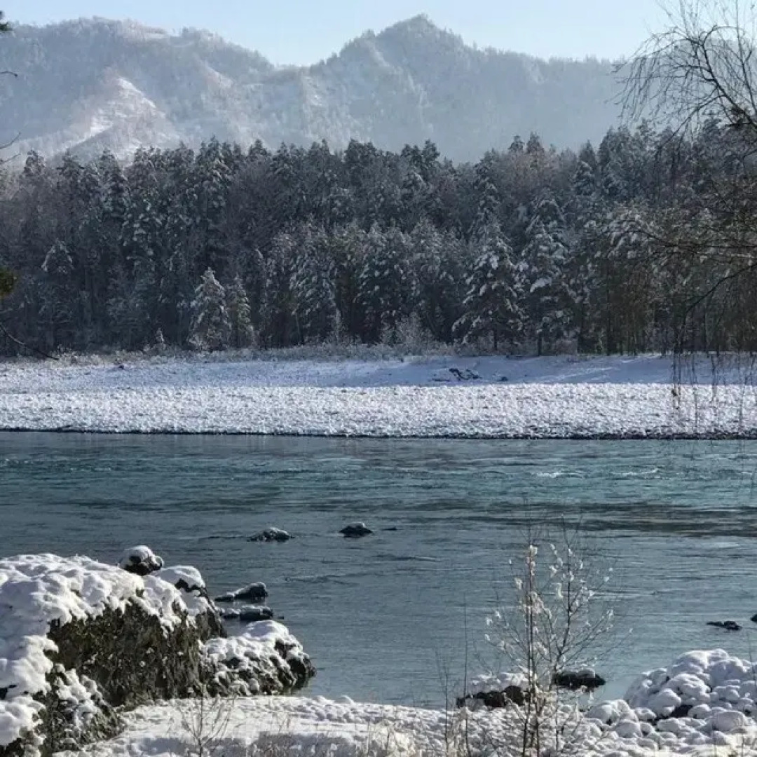 Отель Парк-отель Пилот