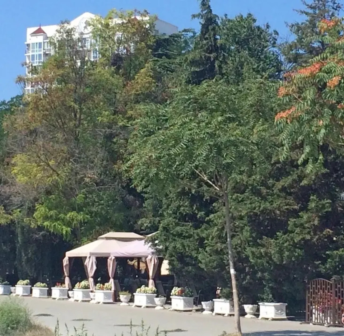 Апартаменты в Центре города