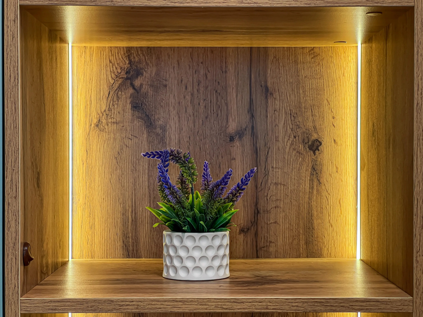 Квартира Профсоюзная 63/1