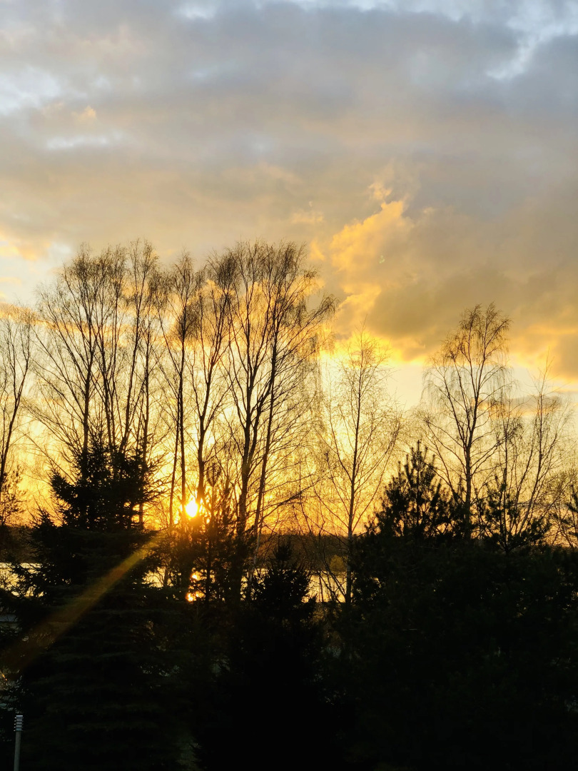 Бунгало Дункан