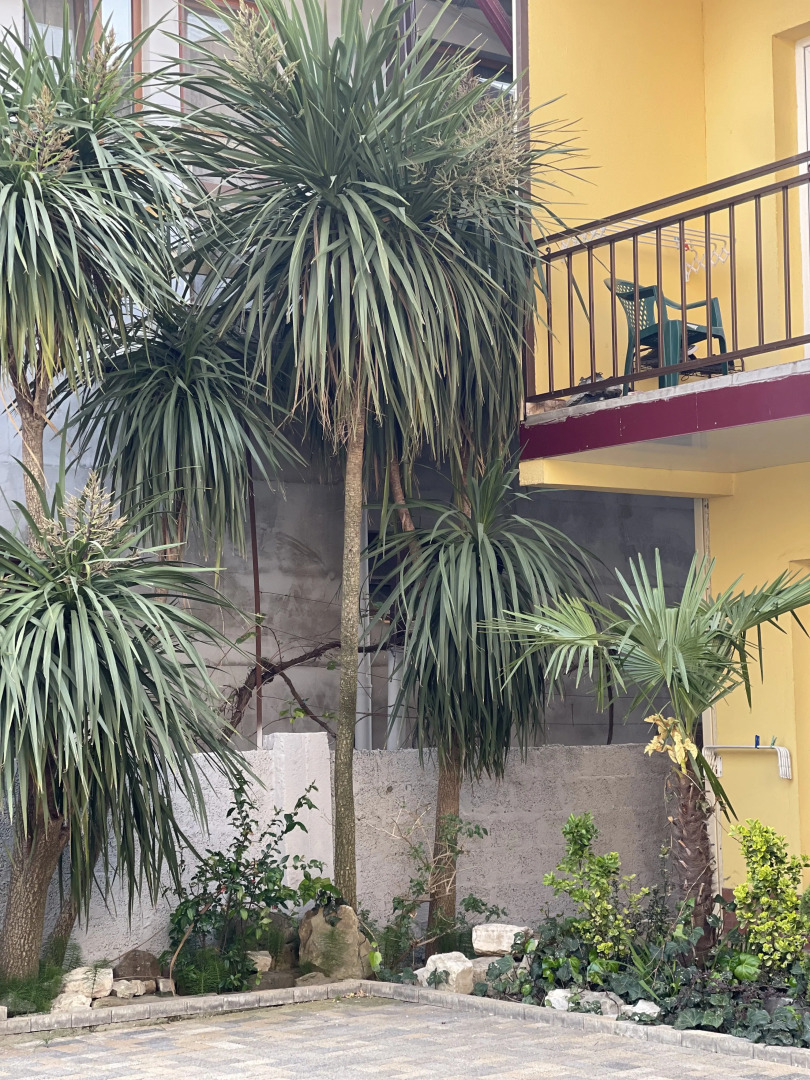 Гостевой Дом Солнечный Дворик Переулок Пихтовый 24