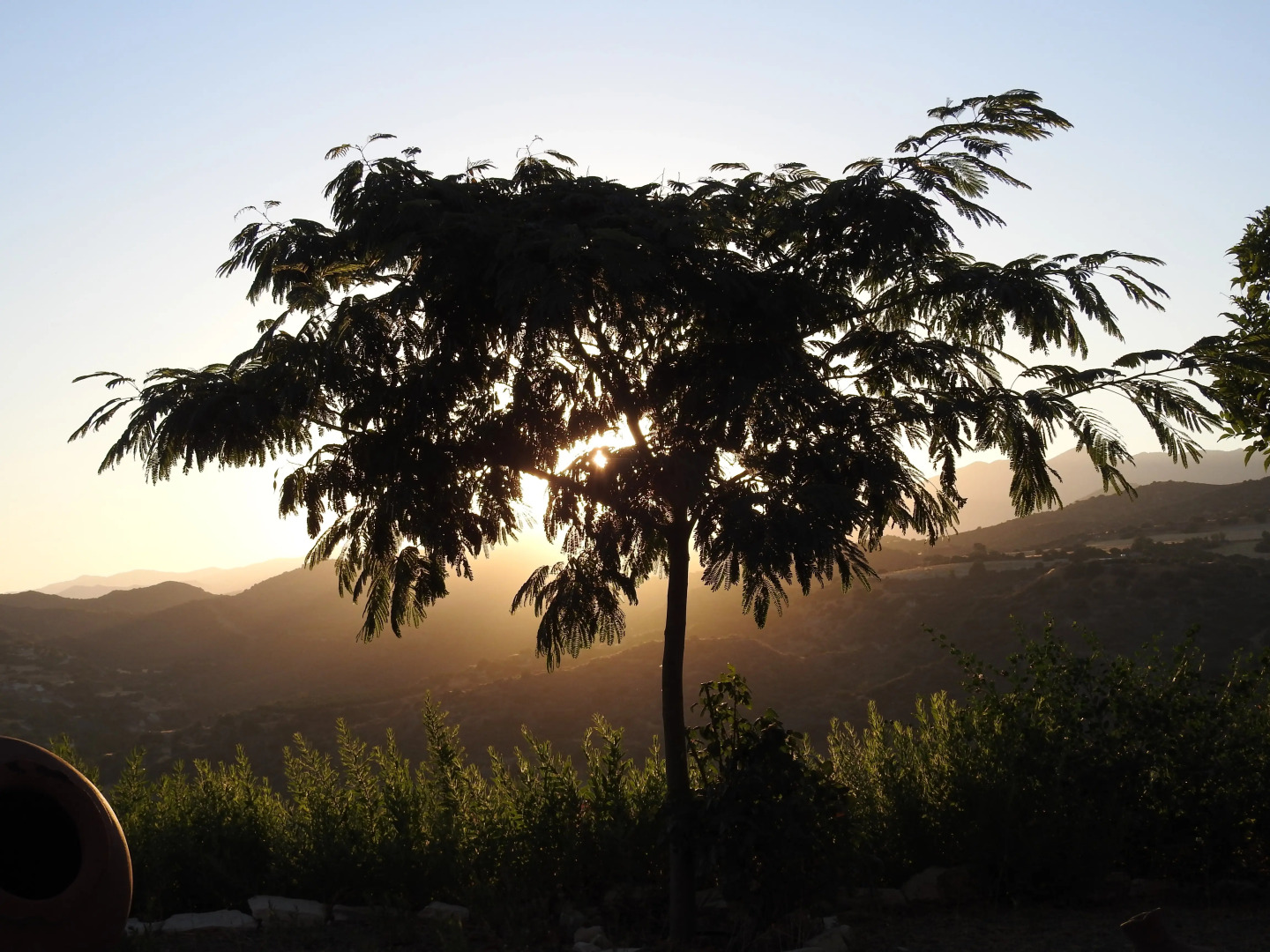 Глэмпинг Nirvana Yurts