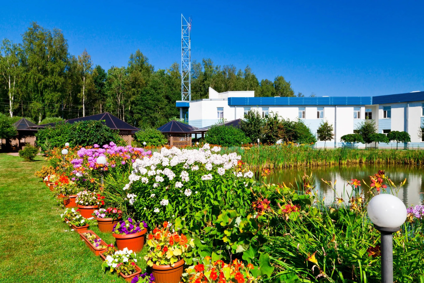 Отель Петро Спорт