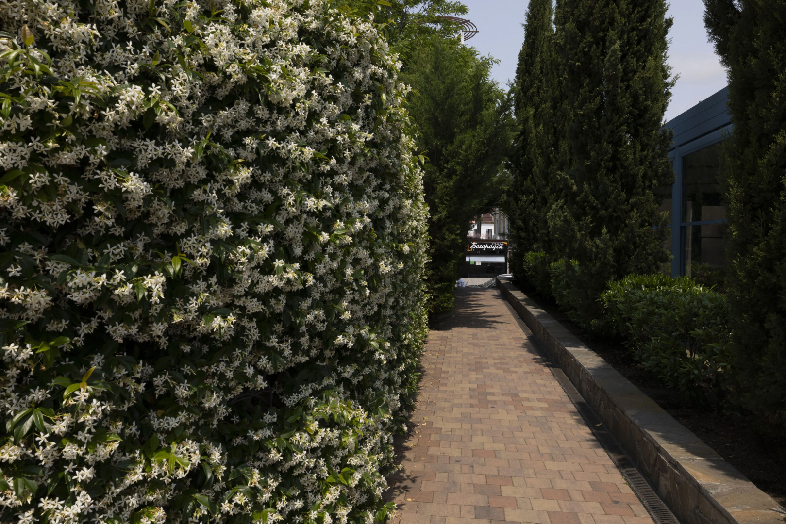 Гостевой дом Bogorodsk Olympic Beach Sochi