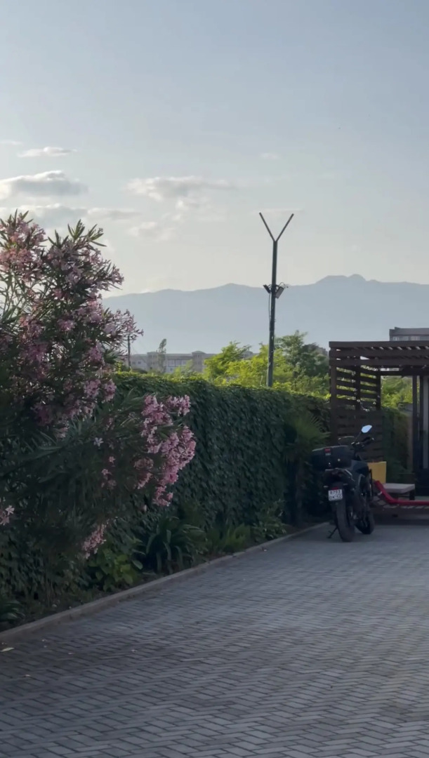 База отдыха Шезлонг