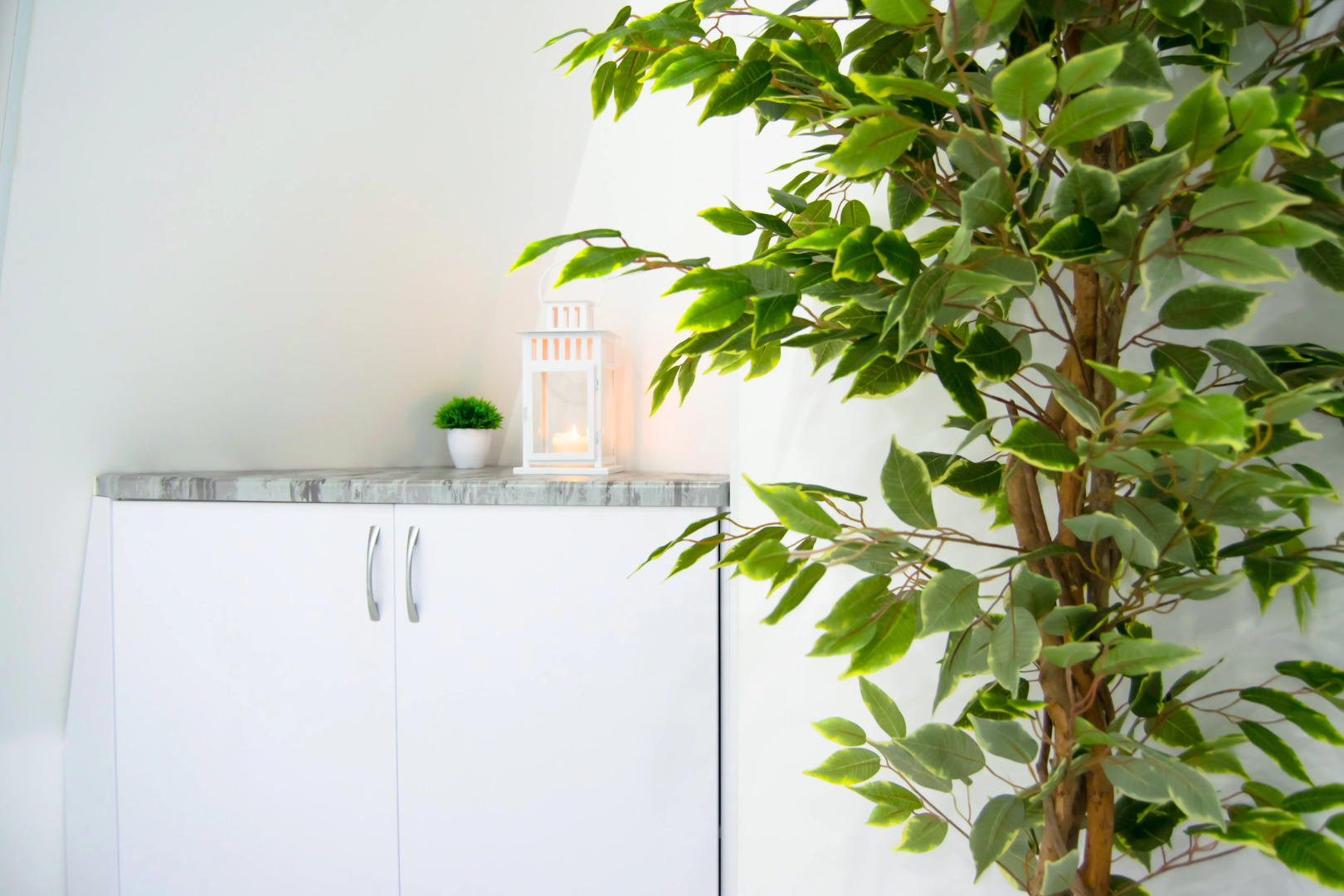 Апартаменты Псковская Жемчужина