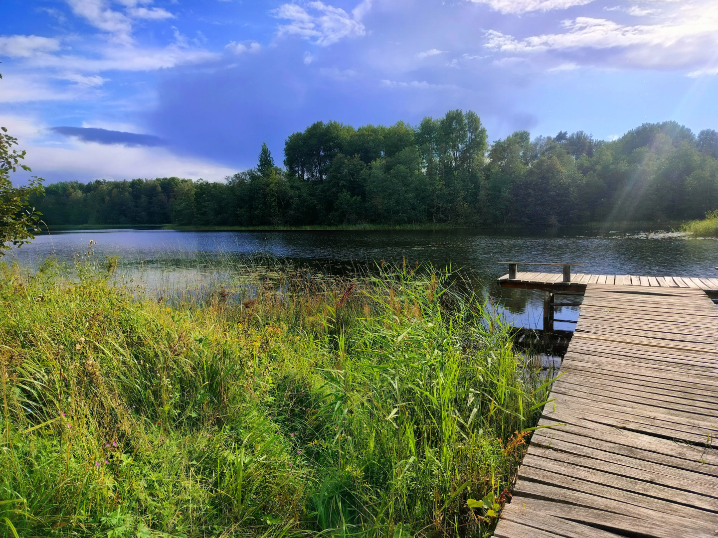 Апартаменты Уютная студия около озера