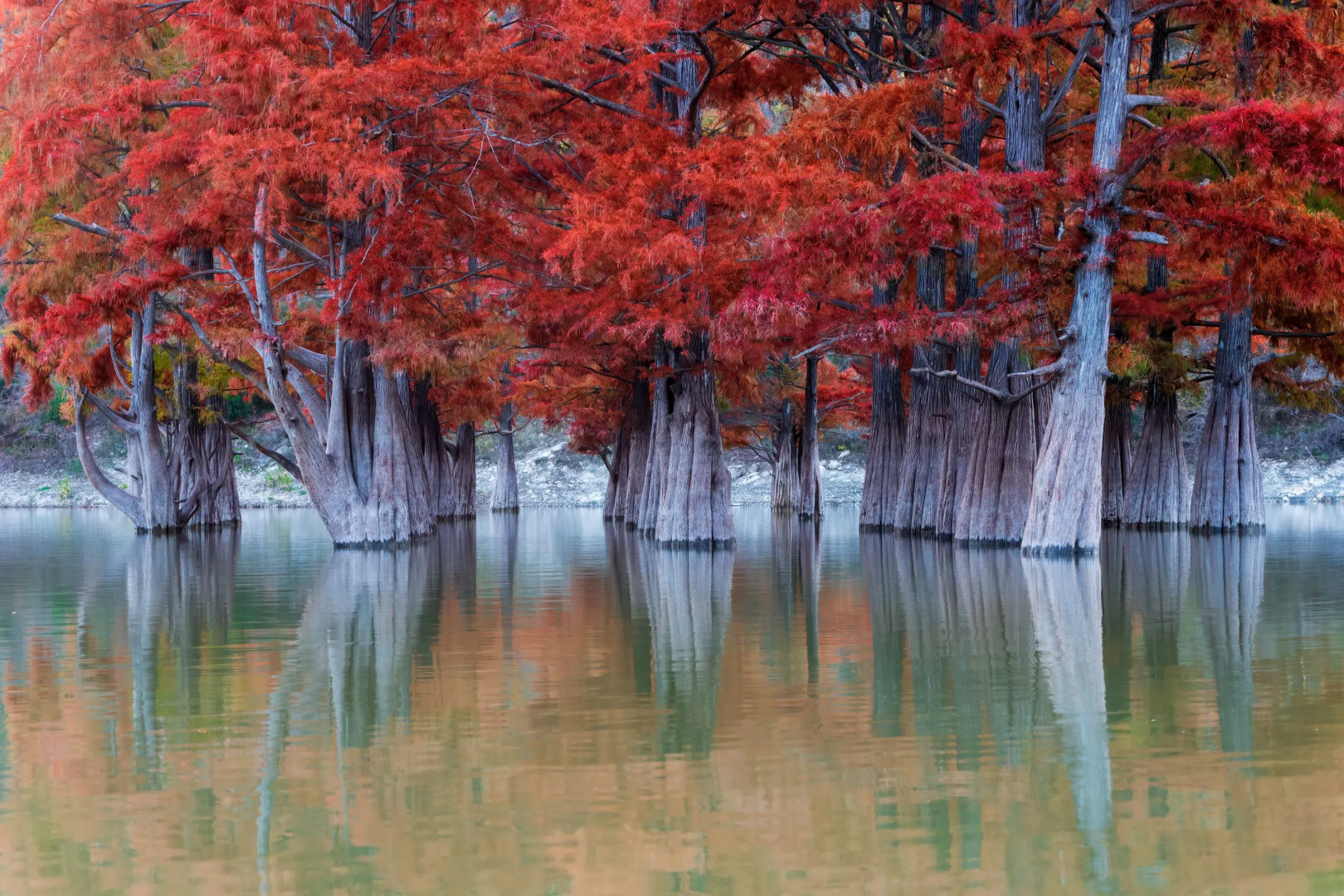 Квартира Holliday House