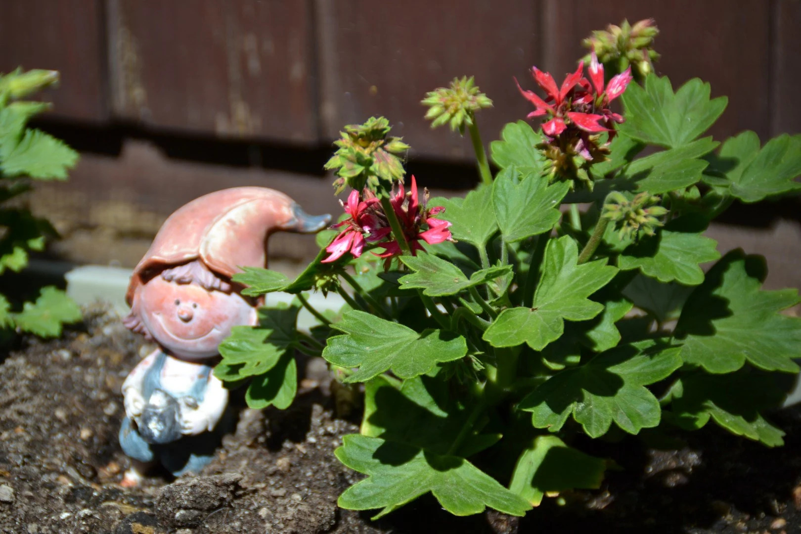 Гостевой дом На Взморье