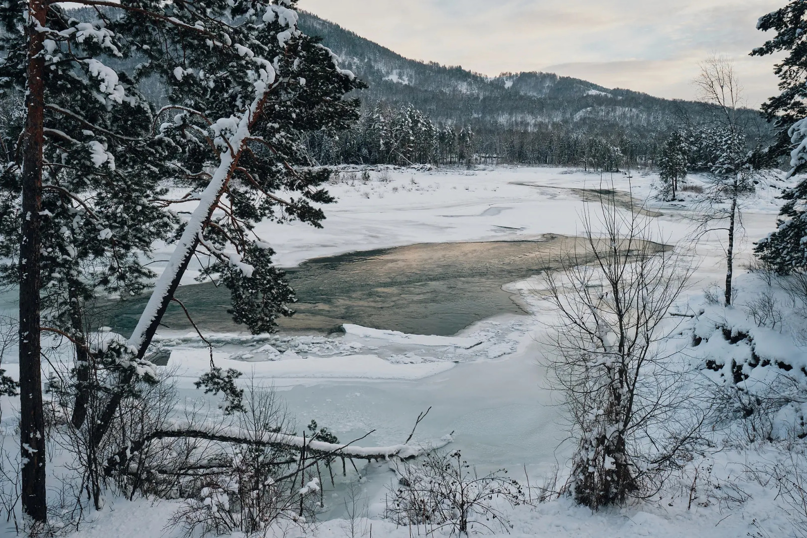 Гостевой дом Кедровый Берег