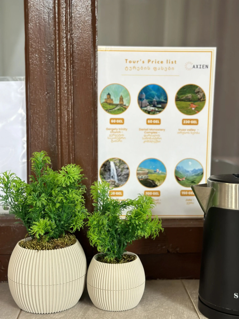 Апартаменты Meshia