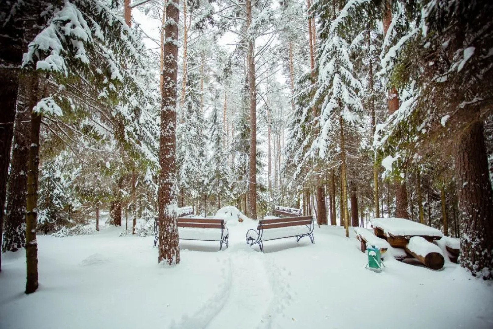 Отель Дивный Мир Хижина