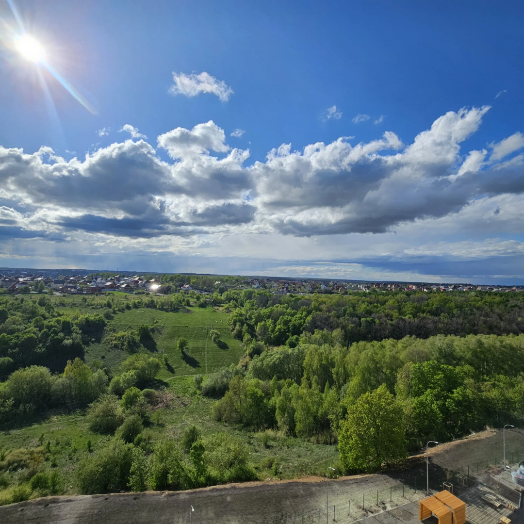 Квартира уютная с видом на березовую рощу