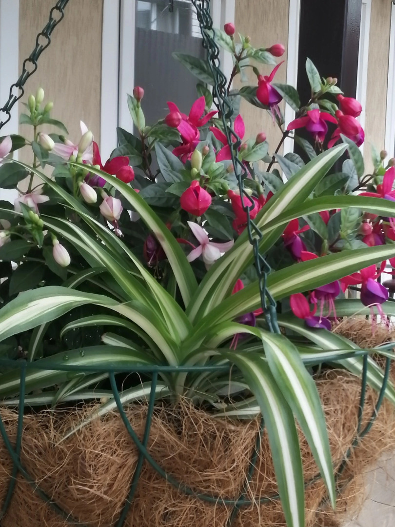 Гостевой дом Елена