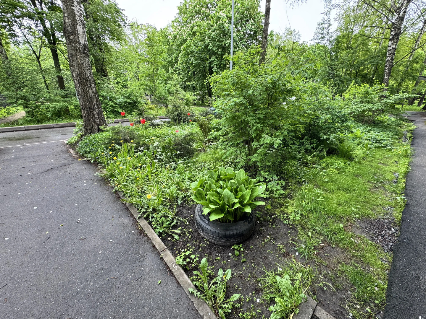 Квартира Tanikohome Новочеркасская