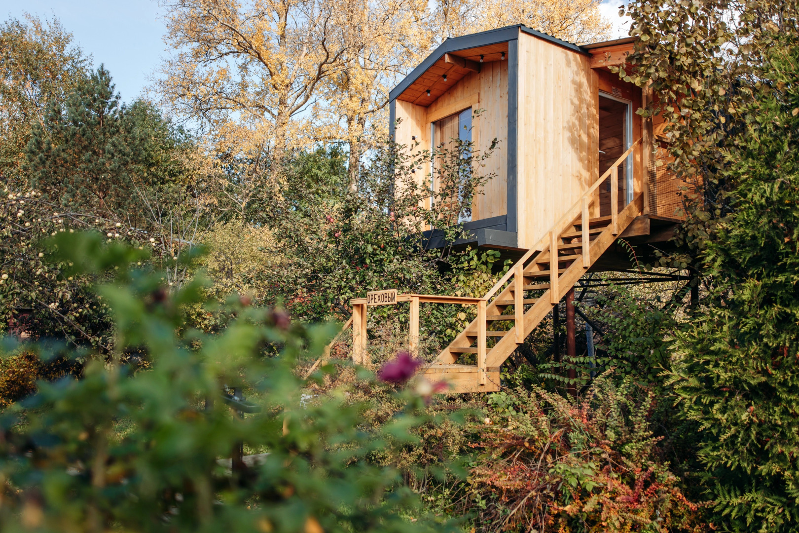 Гостевой дом Дом на дереве
