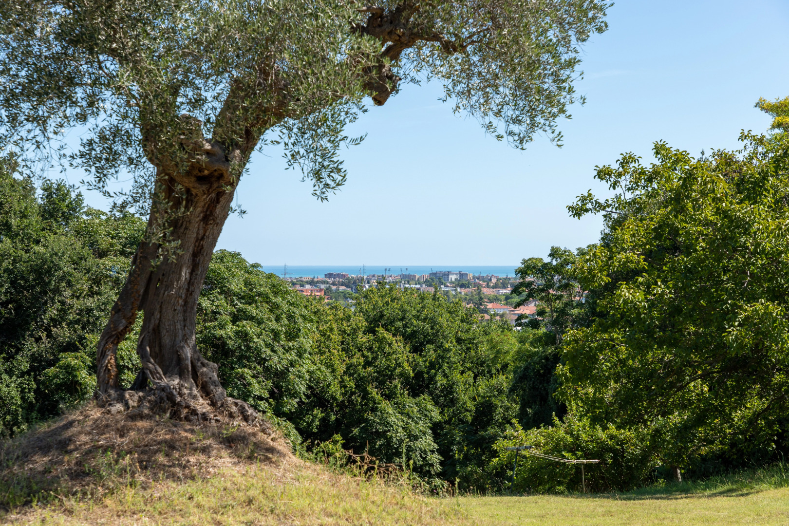 Вилла Monacelli