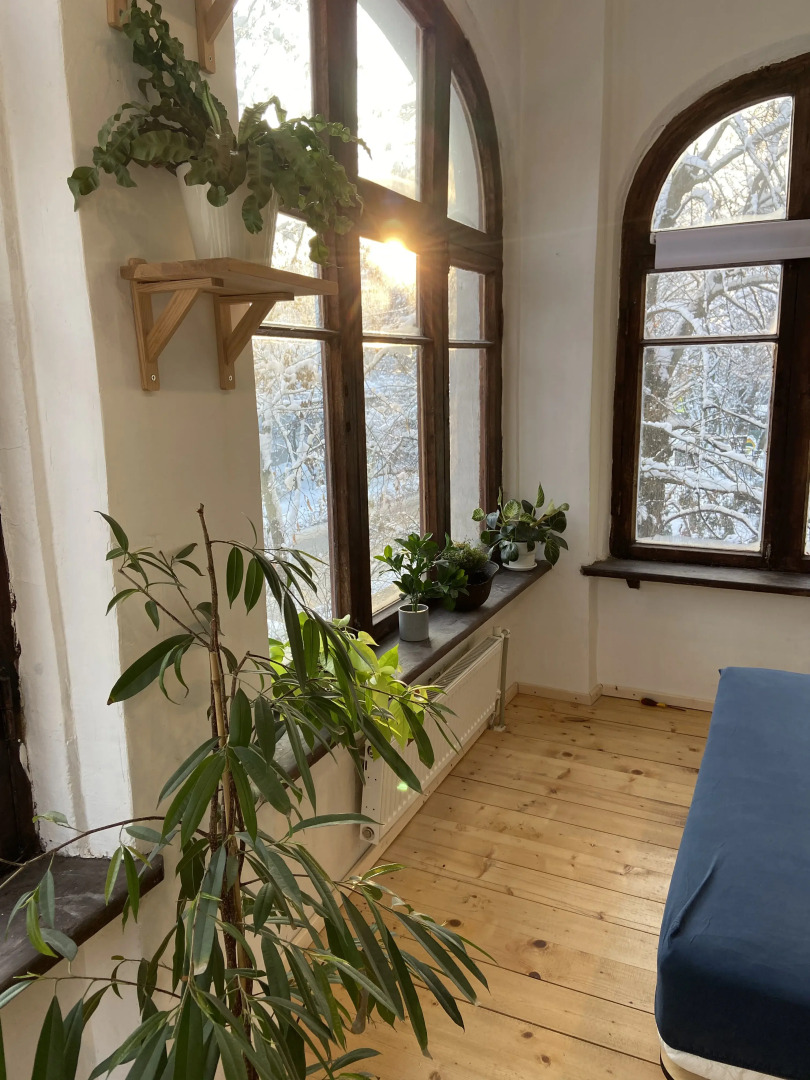 Апартаменты Оранжерея