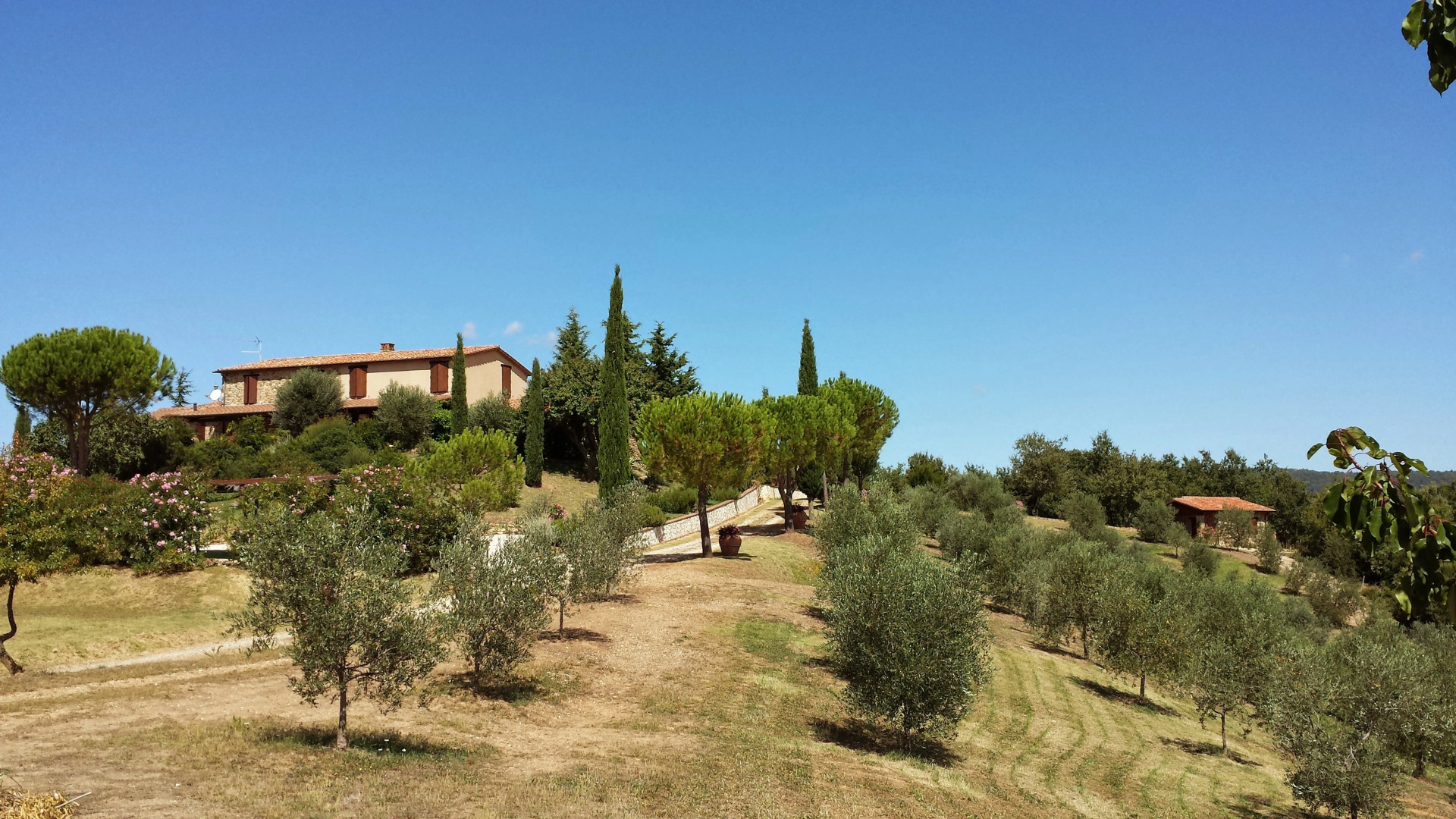Agriturismo Podere San Lorenzo 1866