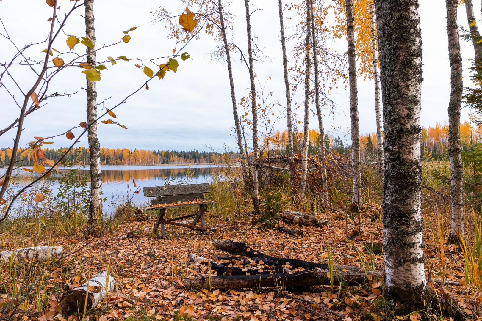 Отель Valday Hunting & Country Club