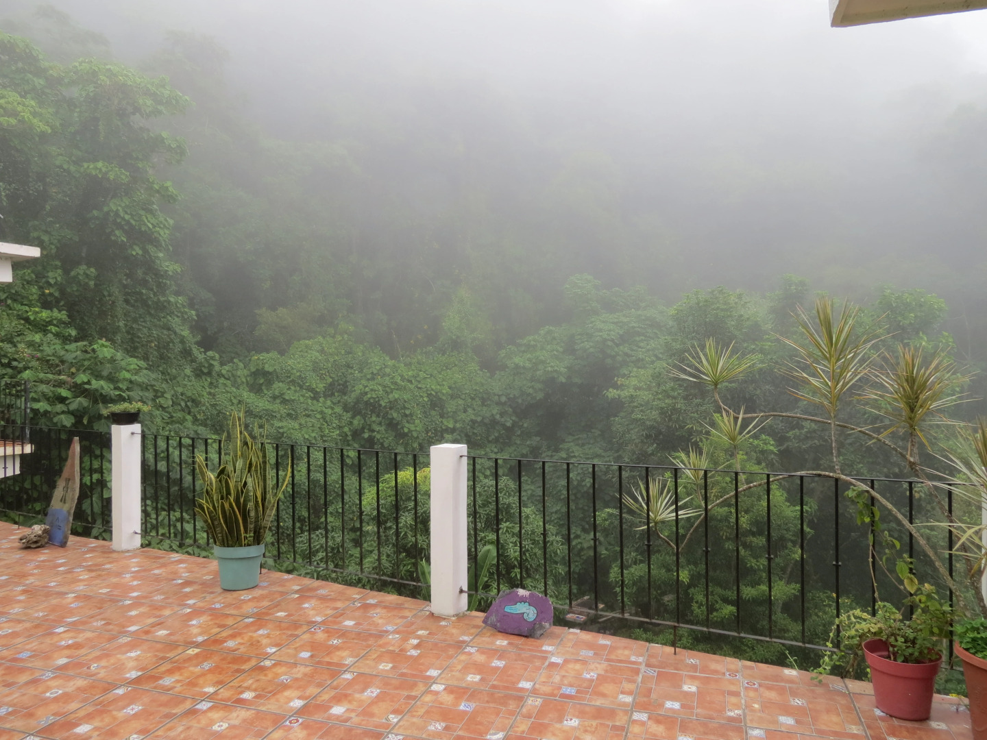 Отель Casa Verde Xilitla by Rotamundos