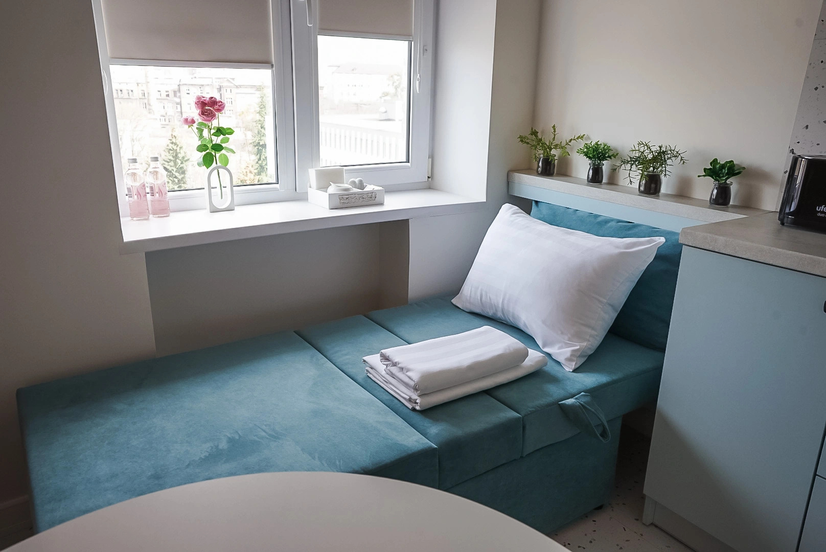 Апартаменты Zoya Apart в центре с видом на Верхний пруд и музей Янтаря