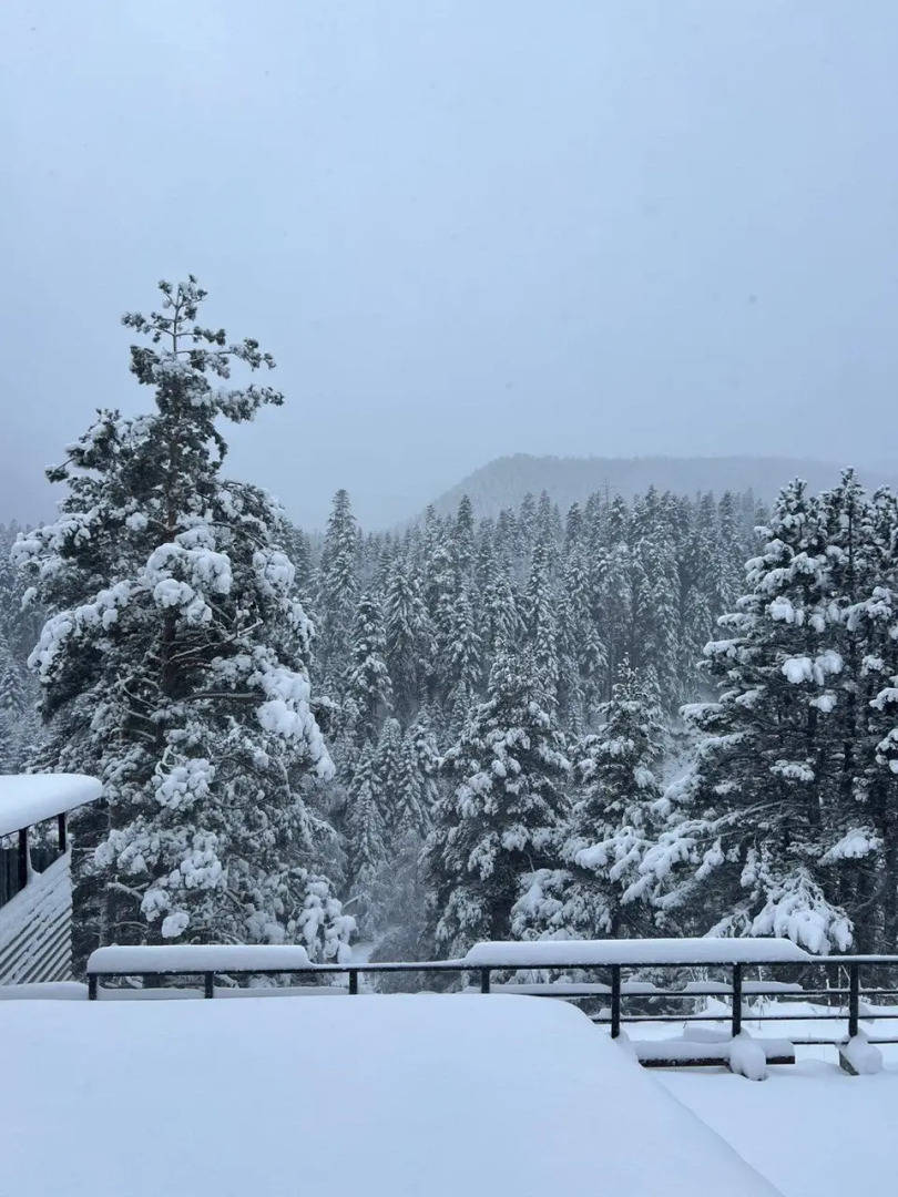 База отдыха Wood Berg