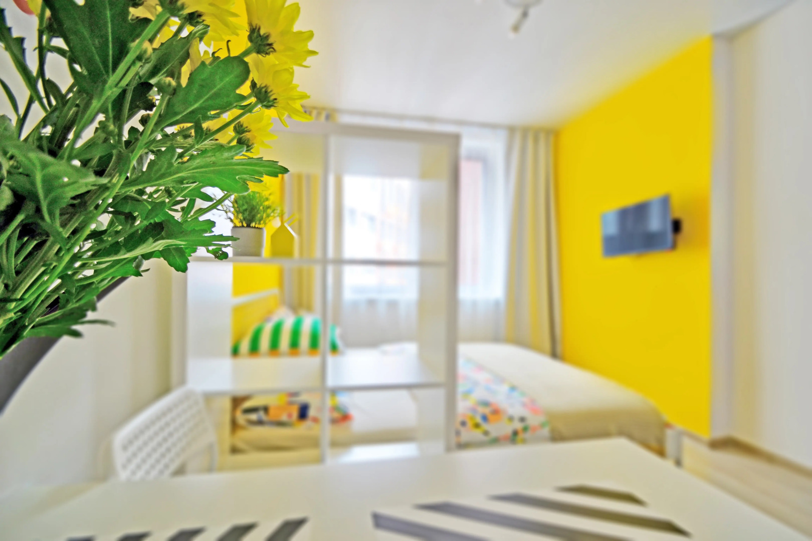 Апартаменты Солнечная Студия у ТЦ МЕГА Химки