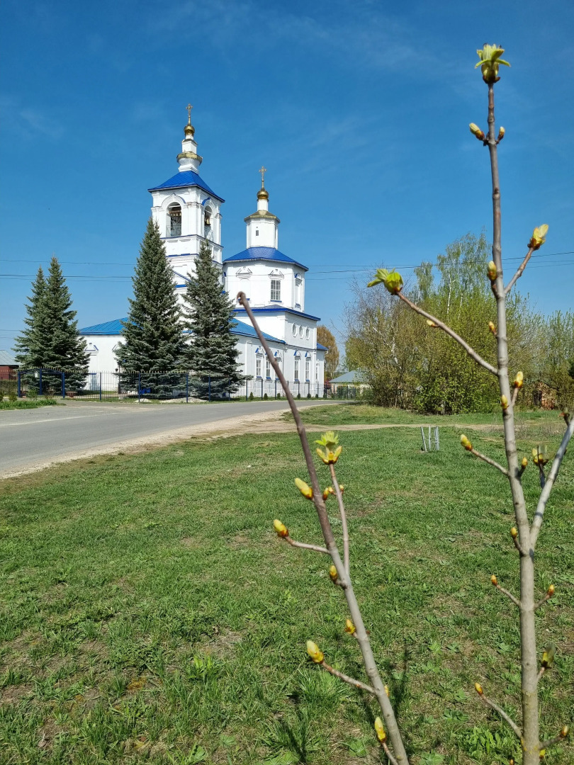 Частный Дом Дача Фермера