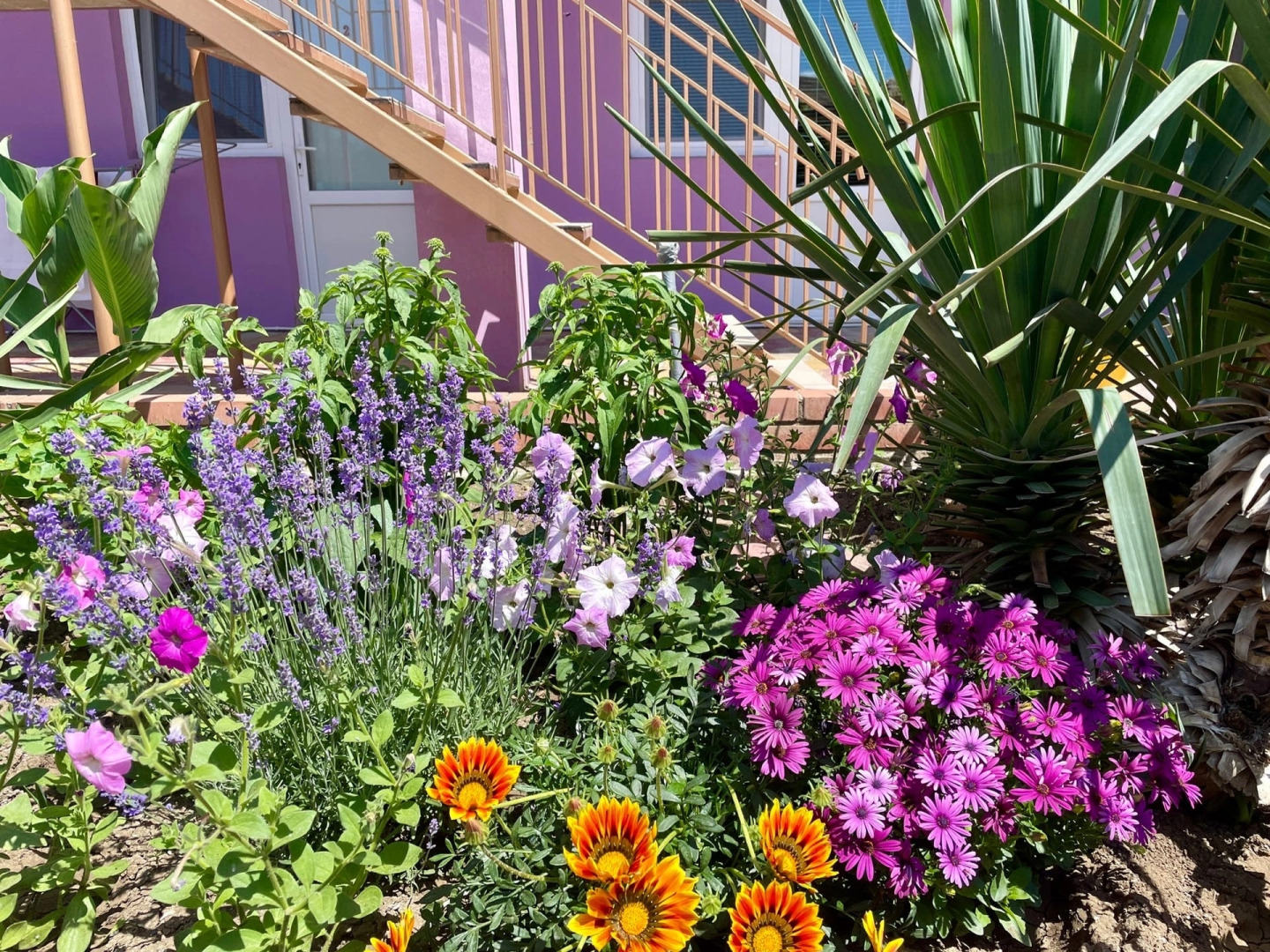 Гостевой Дом Фортуна