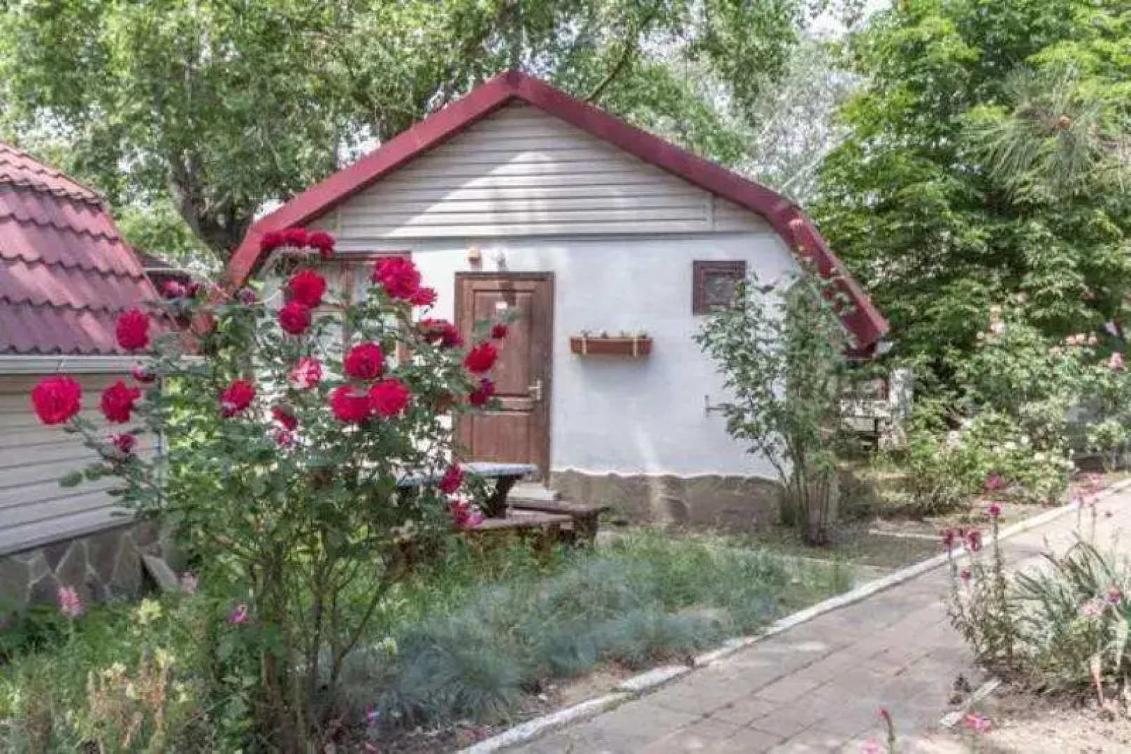 База отдыха Динамо 2