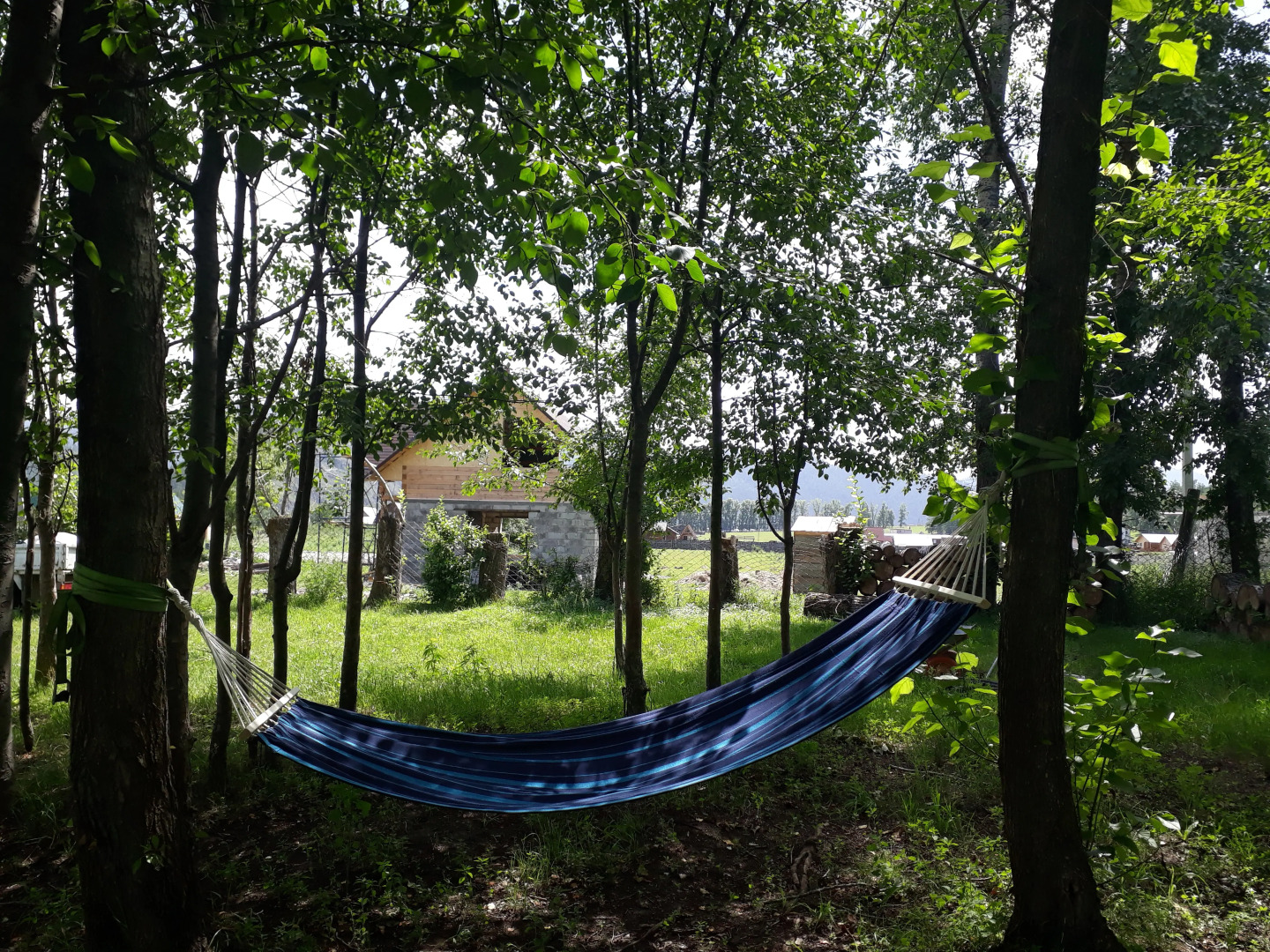 Усадьба Золотой медведь