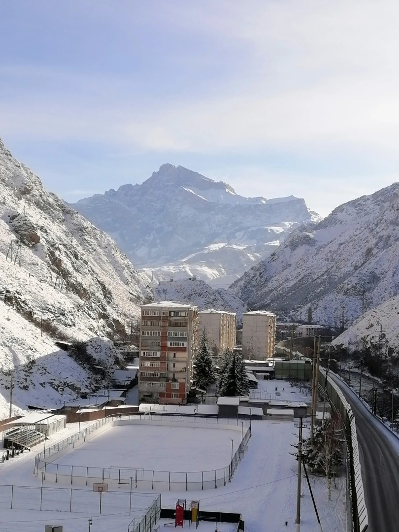 Квартира по дороге Шелкового пути