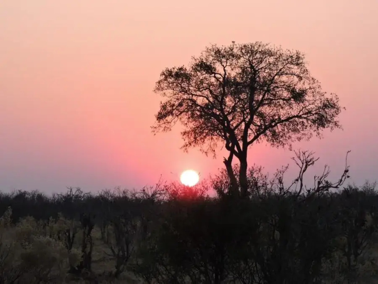 Хостел Elephant Trail Guesthouse and Backpackers