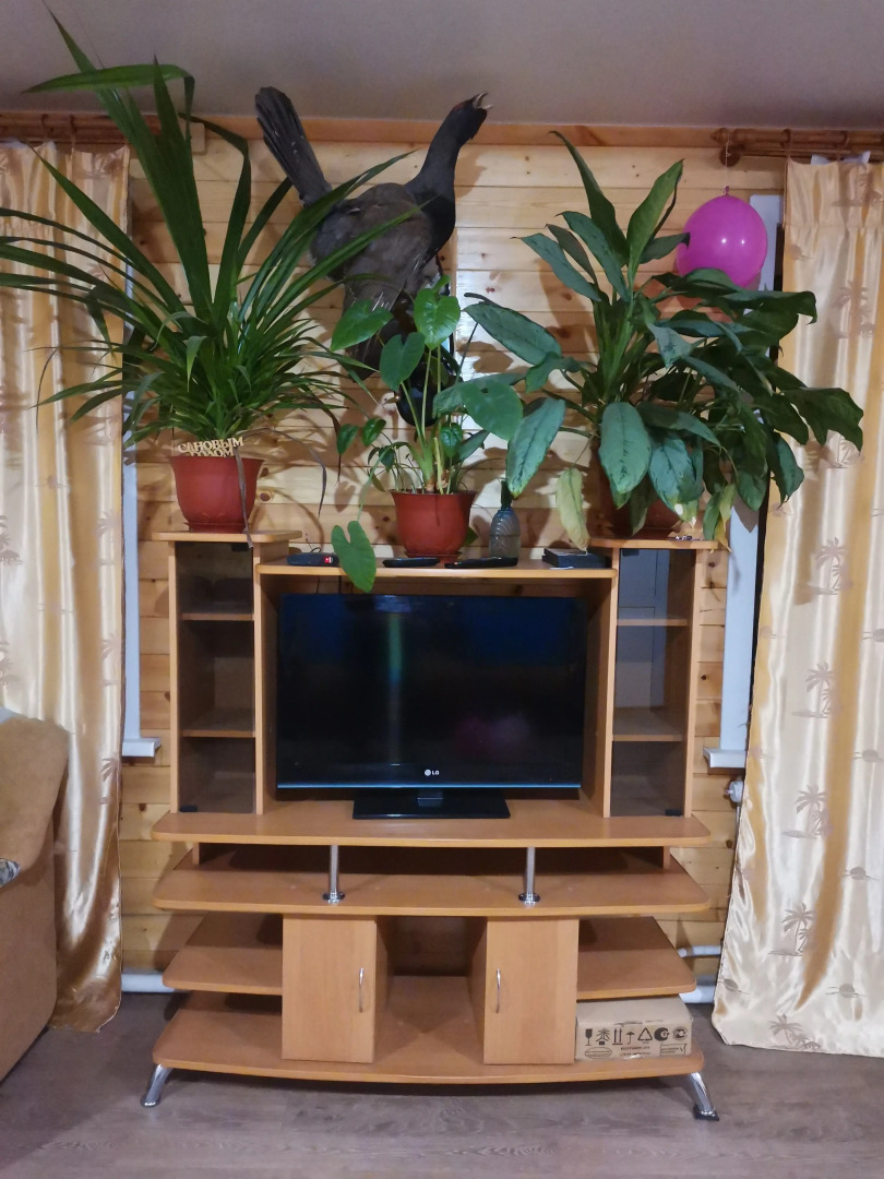 Мини-Отель Диана