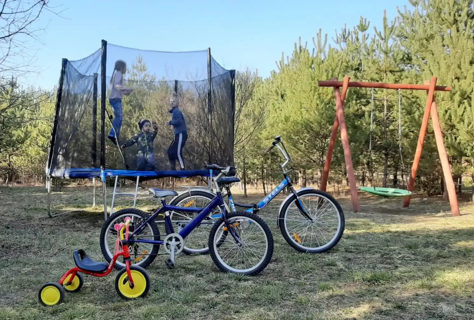 Мини-отель Туристический комплекс Лесной Эдем