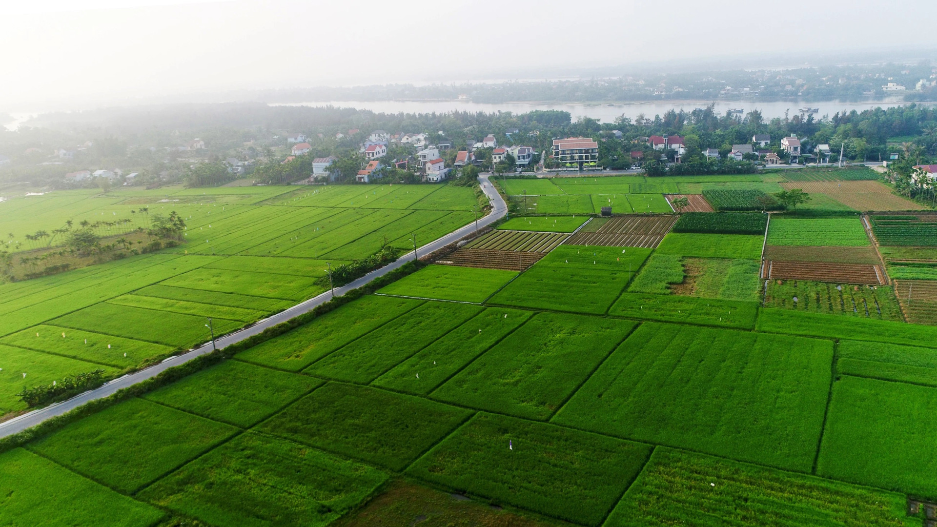 Отель Hoian Field Villa and Spa