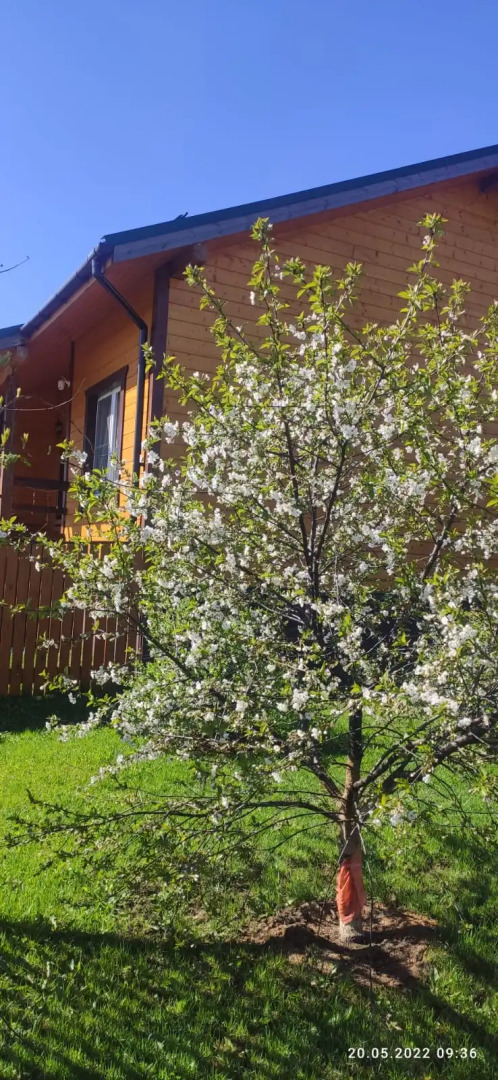 Частный дом Рифей