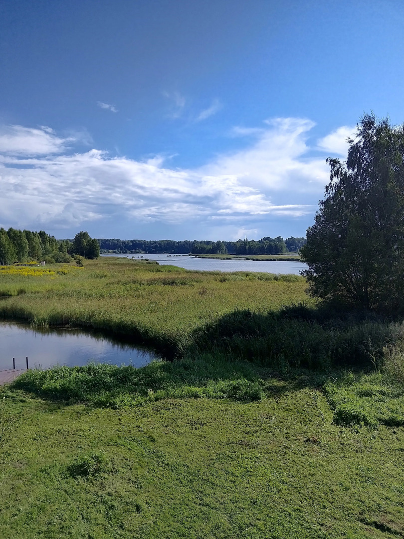 Гостевой дом Усадьба  Ивы