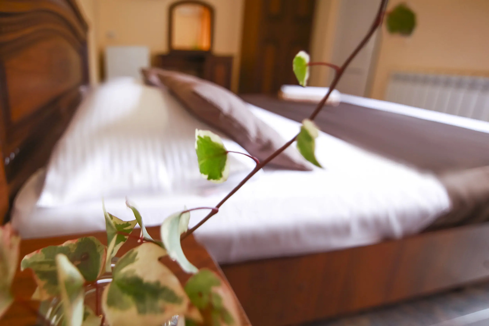 Гостевой Дом Алоиза