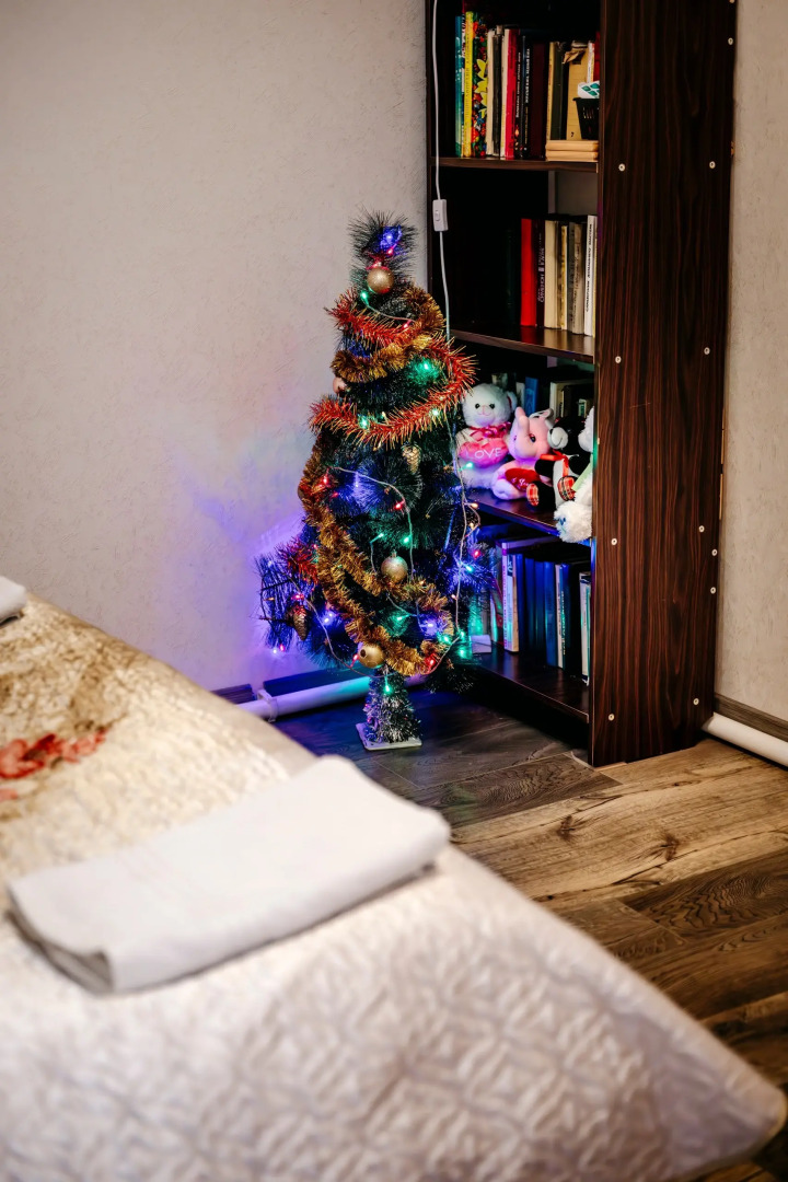 Дом Одеяло, подушка, мангал