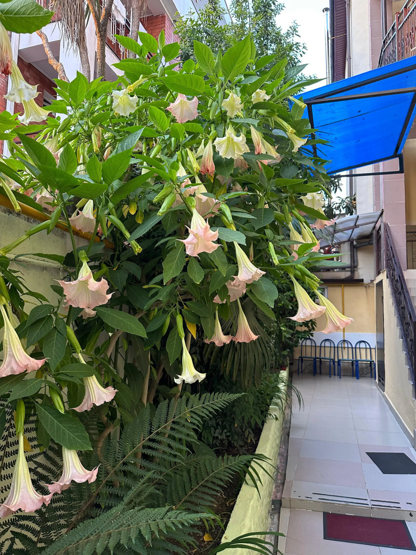 Гостевой дом Арго