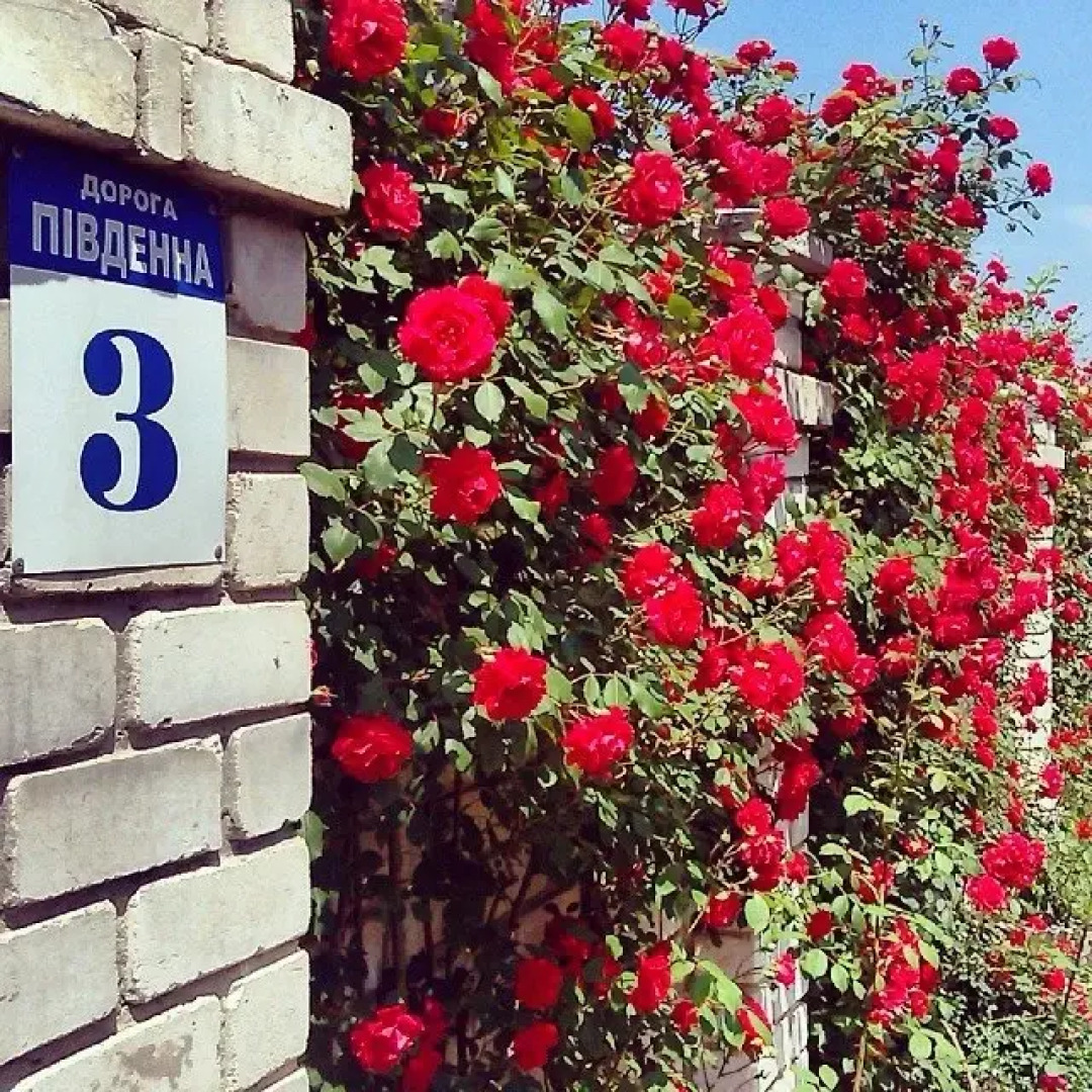 Апарт-Отель Южный Дворик