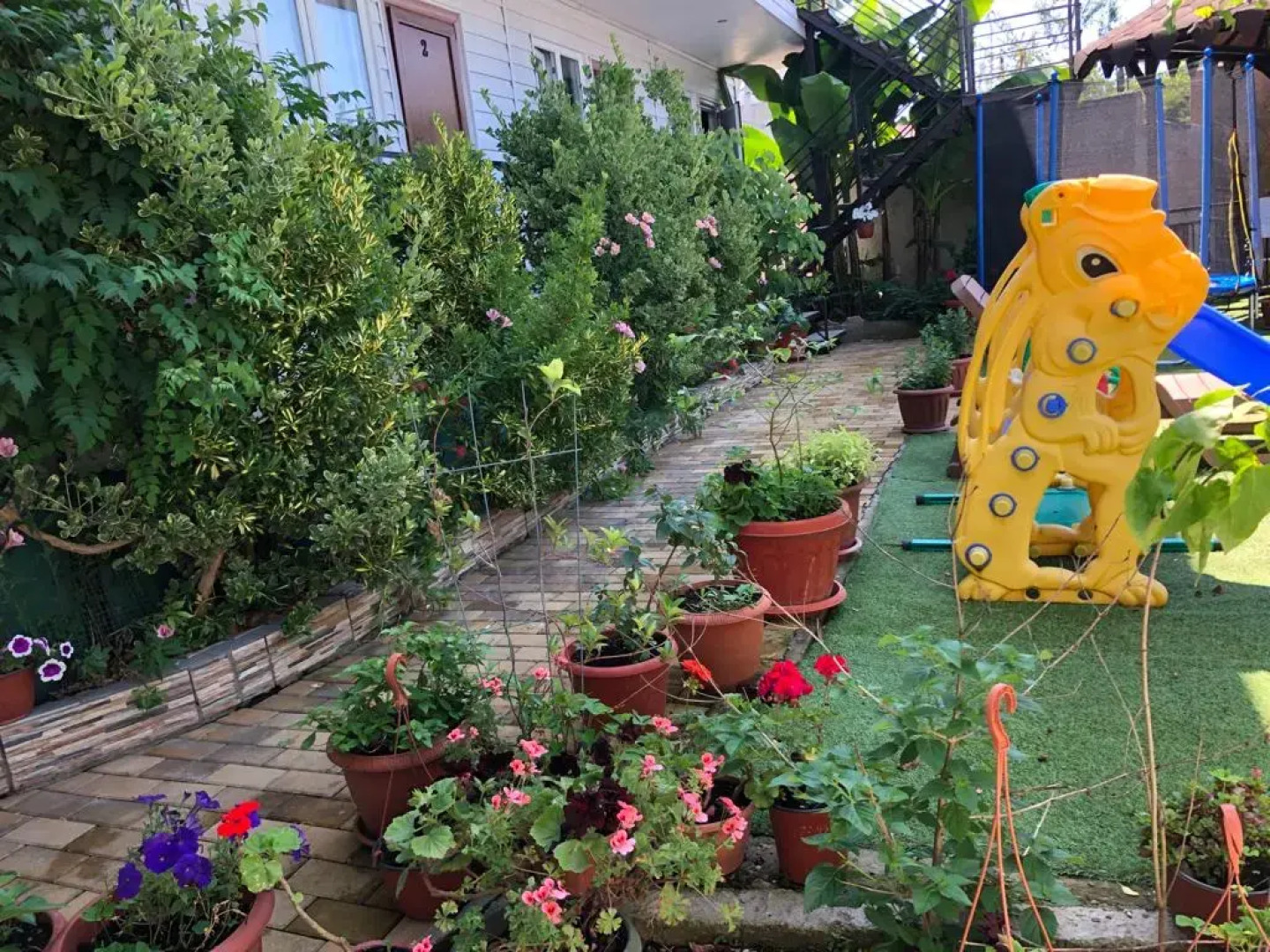 Svetlana Guest House