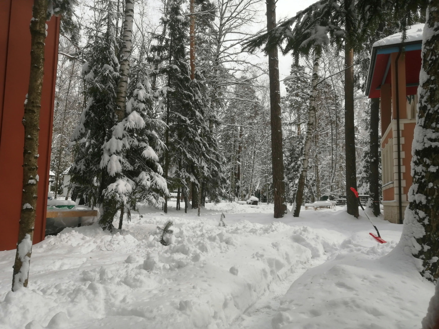 Частный дом в Заветах Ильича с голубой гостиной