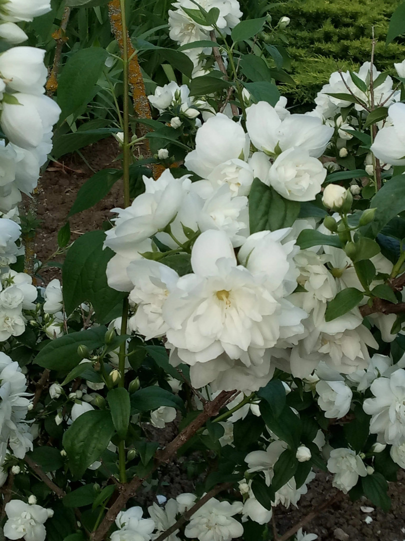 Гостевой дом Космос