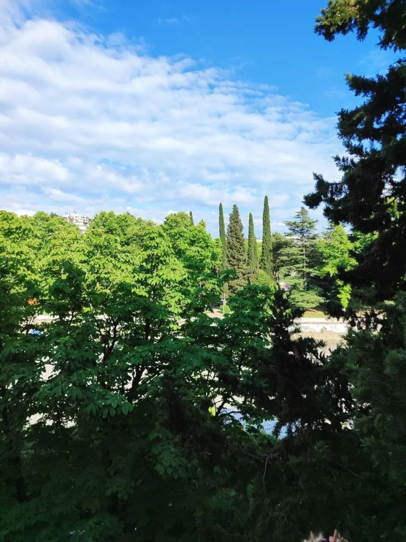 Квартира 2х комнатная в центре Сочи с видом на реку и горы