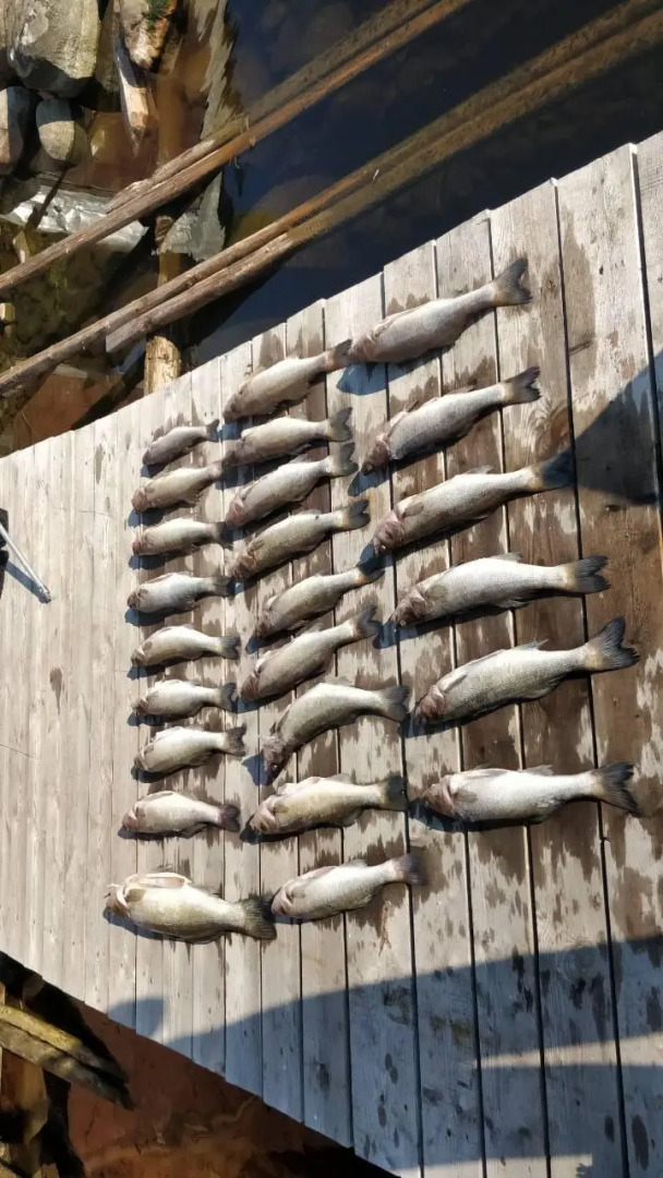 Гостевой дом Дом в Карелии