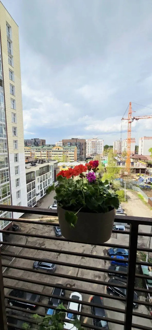 Апартаменты "Дом Альберта"