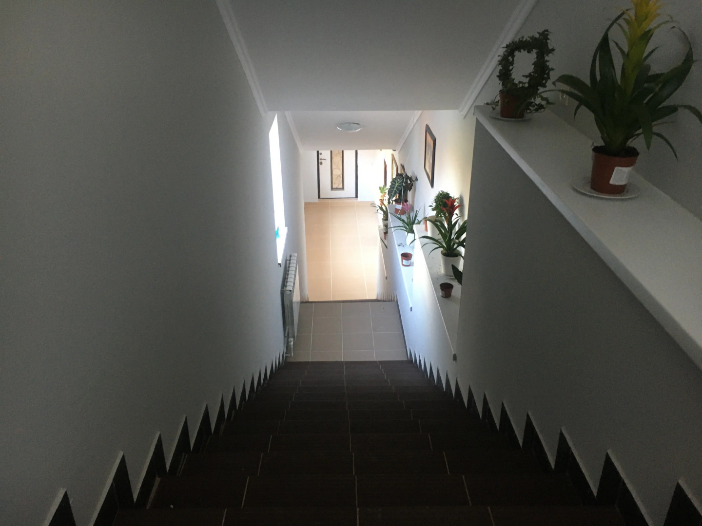 Гостевой дом Царский